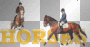 Horses