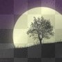 Moonlight