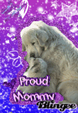 Proud Mommy