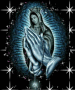 ashly531