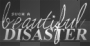 beautiful disaster