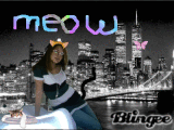 im a kitty kat