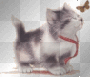 chat