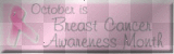 BC Banner