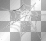 Spider Web