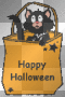 happy halloween
