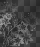black & white flowers