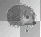 igel