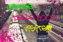 Grazie delle 2000 visite