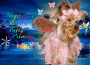 Roxy Fairy Princess Girl!