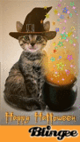 Witch's Cat