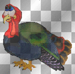 turkey