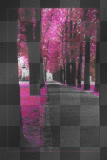 TREES