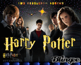 harry potter