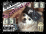 angel gangsta