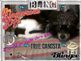 thee g dog