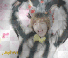 max tvxq 