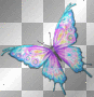 purple & aqua butterfly
