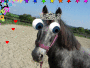 alix_alix_