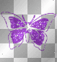 Butterfly1