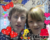 love birds