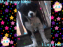 pepsichick3