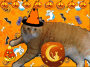 halloween time