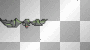 circling bat