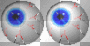 frantic eyes