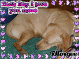 Lady
