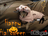 Happy Halloween