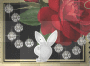 playboy