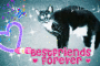 mollykitty