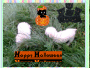 HAPPY HALLOWEEN