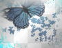 Blue Butterfly Background