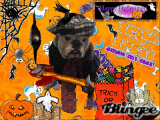 hugo boss halloween