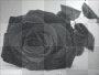 black rose