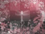 Dragonfly Background