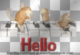 hello
