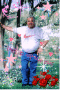 PAPINO