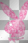 bunneyyy