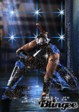 ninja gaiden