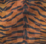 tiger skin