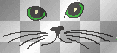 Chat tête