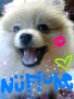 Nu Fluke Again
