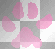 Dog Paw