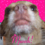 peanut