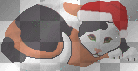 Santa Cat