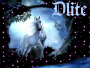banner blu uni