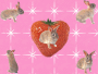 Rabbits 